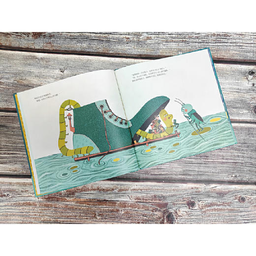 蟋蟀的琴弦 商品图3