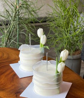 郁金香盛开（主图四寸效果图