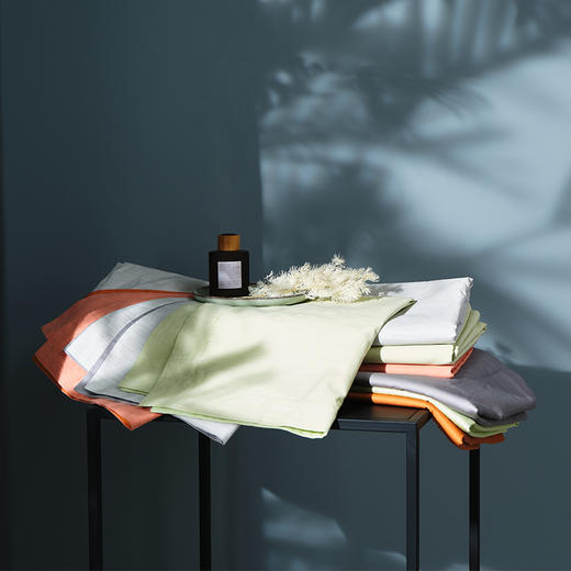 预售|新款Downland Coral 珊瑚缎彩四件套 200*230cm[福利品] 商品图4