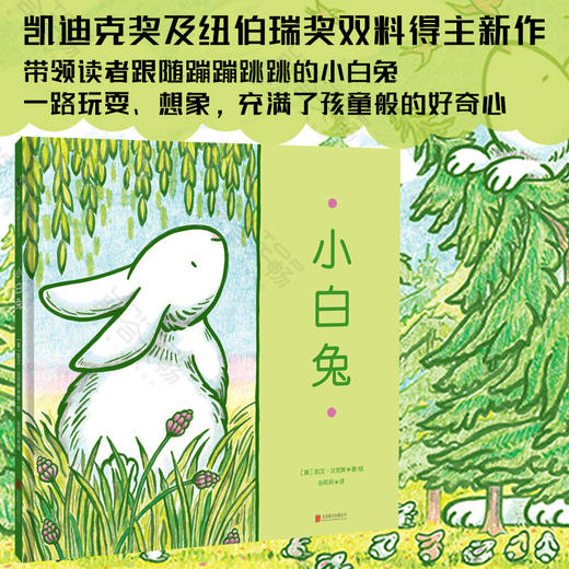 小白兔 商品图0