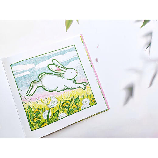 小白兔 商品图2