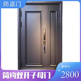 入户门防盗门子母门现代简约风 包安装【LY】