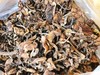 干榛蘑2两（拼团） 商品缩略图0