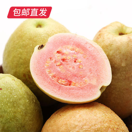 福建树上熟红心芭乐 1.5kg礼盒装 （产地直发） 商品图2