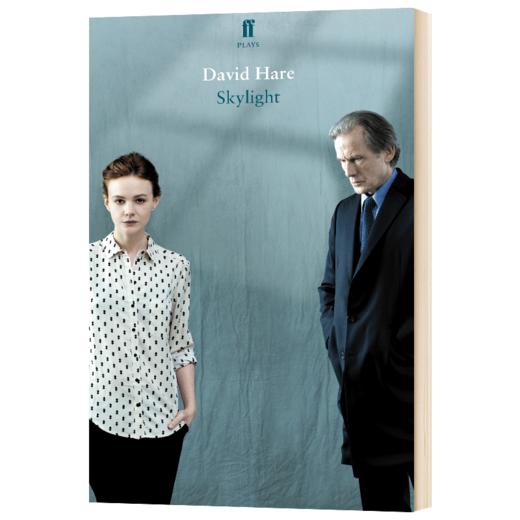 天窗 英文原版 Skylight 英文版进口原版英语书籍 David Hare 商品图1