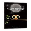 小猫头鹰的夜游 3-6岁 迪芙雅·崔妮法森 著 儿童绘本 商品缩略图0