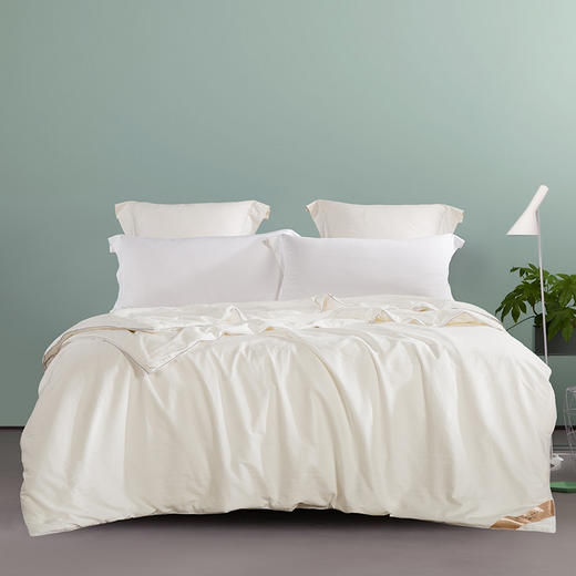 【梦兰厅】B7F丨馨雅提花桑蚕丝春秋被（100%桑蚕丝） 商品图0