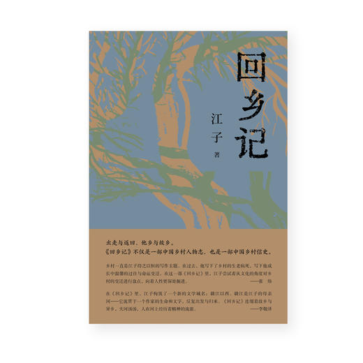 回乡记 江子/著 第八届鲁迅文学奖获奖作品  故乡 他乡 乡土中国 散文集 广西师范大学出版社 商品图1