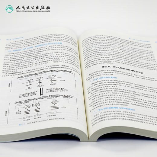 生物化学与分子生物学 第9九版人卫十三五本科规划教材西医临床医学第九轮五年病理学外科学诊断学药理学传染病学全套图书考研教材 商品图4