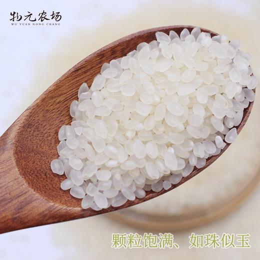 物元农场有机珍珠大米新米东北寒地圆粒香 | 5斤真空装 商品图4