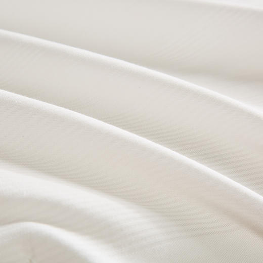 【梦兰厅】B7F丨馨雅提花桑蚕丝春秋被（100%桑蚕丝） 商品图1