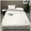 南5楼朵庭抗菌蚕丝春秋被 商品缩略图0