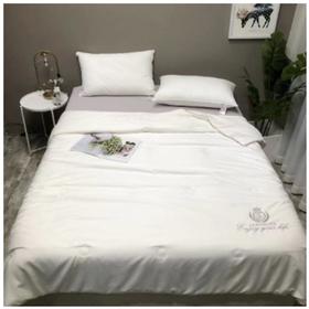 南5楼朵庭抗菌蚕丝春秋被