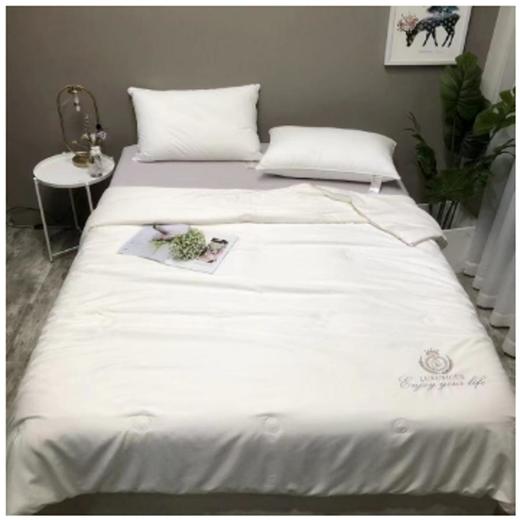 南5楼朵庭抗菌蚕丝春秋被 商品图0