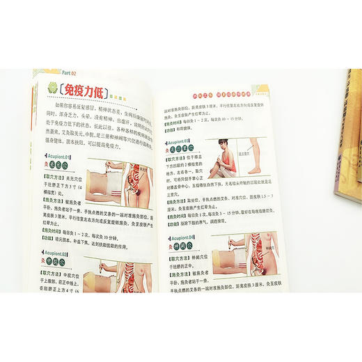 【9.9元包邮】正版 新国医绝学健康馆-一学就会艾灸疗法治百病 商品图1