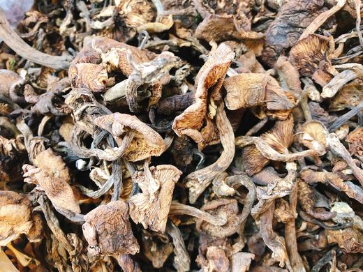 干榛蘑2两（拼团） 商品图1