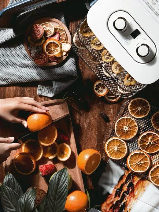 英国摩飞干果机MR6255小型水果蔬烘干机家用宠物零食品肉干风干机 商品图2