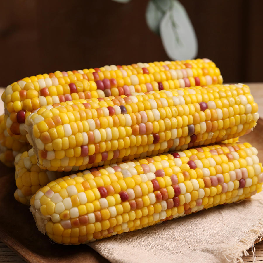 商丘五彩甜糯玉米|爆浆香甜糥,低脂轻食,0防腐非转基因