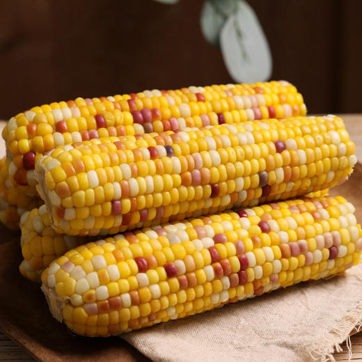 商丘五彩甜糯玉米|爆浆香甜糥，营养饱腹，0防腐非转基因 商品图0