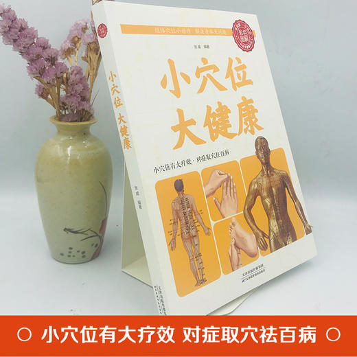 【9.9元包邮】小穴位大健康 中医养生图解人体经络穴位养生法图解手法中医养生推拿按摩书籍 商品图1