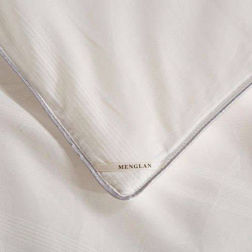 【梦兰厅】B7F丨馨雅提花桑蚕丝春秋被（100%桑蚕丝） 商品图3