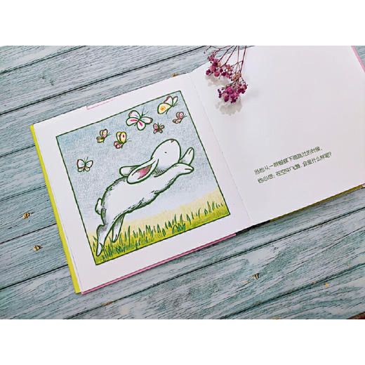 小白兔 商品图4