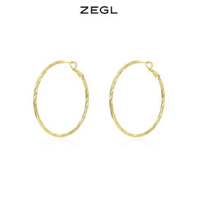 ZEGL圆圈耳环女2022年新款潮耳钉设计感小众耳圈925银针复古耳饰