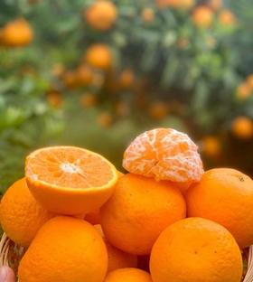 云南沃柑， 天然果冻，果肉细腻，汁水丰盈，彩云之南，蓝天白云下，甜蜜的小幸运