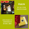 patchi迪拜进口巧克力多口味礼盒250克 商品缩略图4