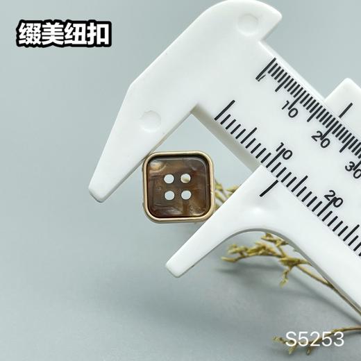 S5253(整包购买) 商品图6