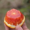 长寿湖血丝塔罗科脐橙 商品缩略图8