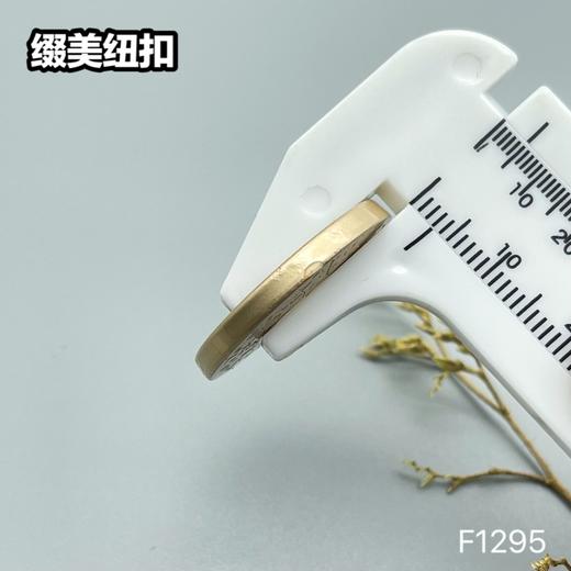 F1295 商品图7