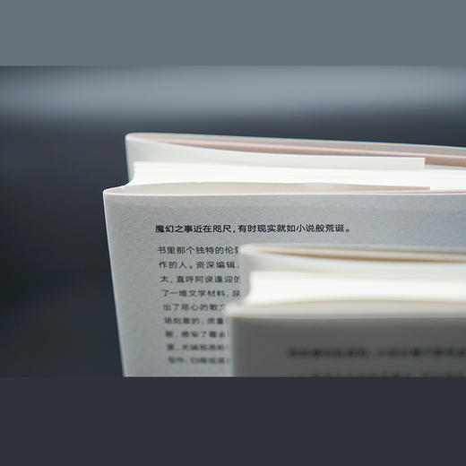 肯辛顿旧事//守望者·文学 商品图9