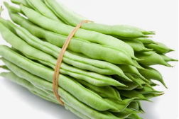 新鲜四季豆