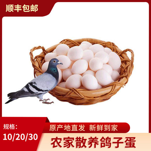 【顺丰包邮】农家谷物饲养 新鲜鸽子蛋 土鸽蛋 白鸽蛋宝宝鸽蛋 商品图0