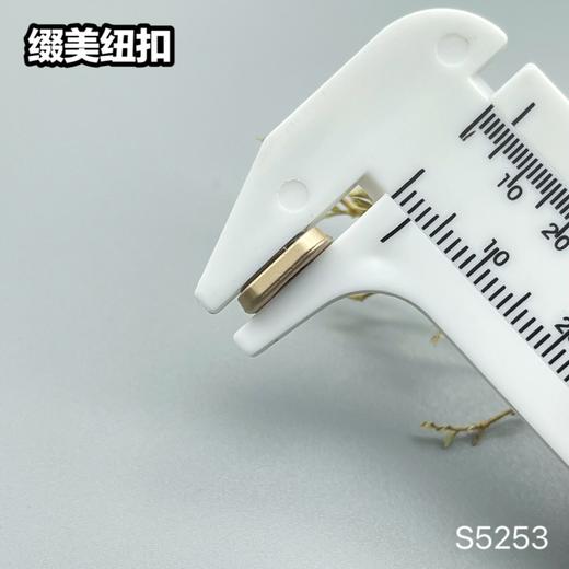 S5253(整包购买) 商品图7