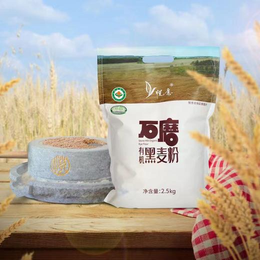悦意有机石磨黑麦粉 2.5kg 天然有机黑麦 营养丰富 商品图1