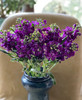 紫罗兰（10枝） 商品缩略图0