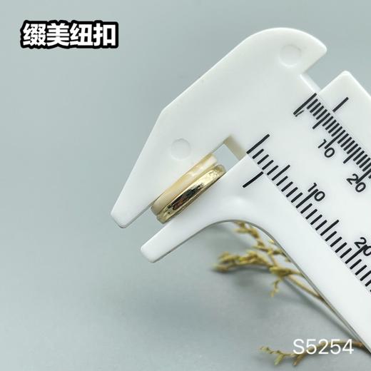 S5254(整包购买) 商品图7