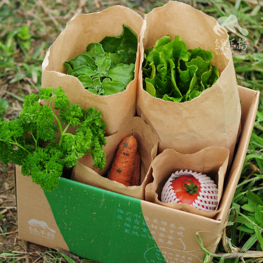 生态沙拉蔬菜箱（非净菜） | 绿家自产* Organic salad vegetable box | Self-production 商品图2