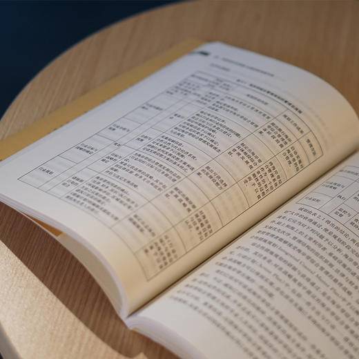 海岸带行动策略——以俄罗斯等国为例 商品图4