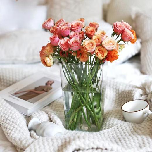 简小姐精选 超高颜值亚克力花桶 下单48小时发货 商品图0