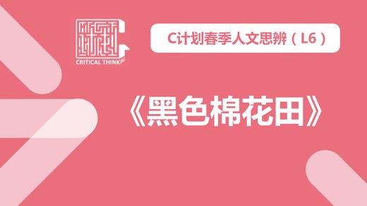 导读-《黑色棉花田》 商品图0