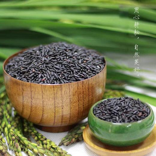 悦意杂粮黑米 500g 商品图2