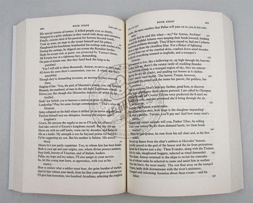 维吉尔 埃涅阿斯纪 牛津世界经典系列 英文原版 Aeneid 英文版进口原版英语书籍 商品图2