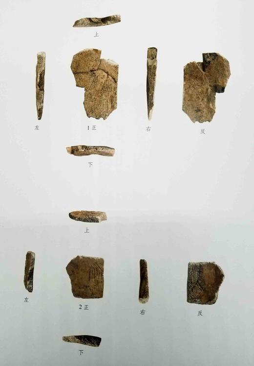 《复旦大学藏甲骨集》，全2册，精装，16开函套，吕静编，上海古籍出版社2019年版，定价1200，售价568元。函套可能有轻度破损，品相9成。 商品图6