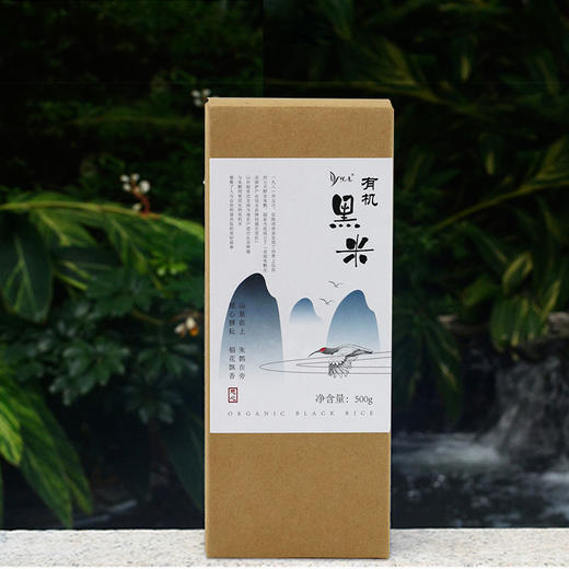 悦意杂粮黑米 500g 商品图3