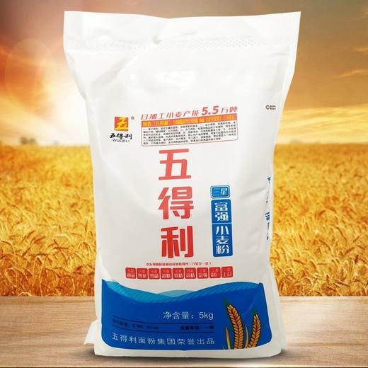五得利面粉三星富强高筋小麦粉馒头包子饺子10斤20斤家用面粉 商品图0