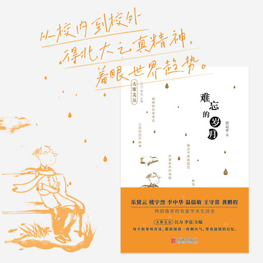 【大家文丛】厉以宁：难忘的岁月 商品图1