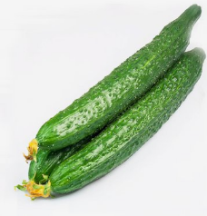 新鲜黄瓜